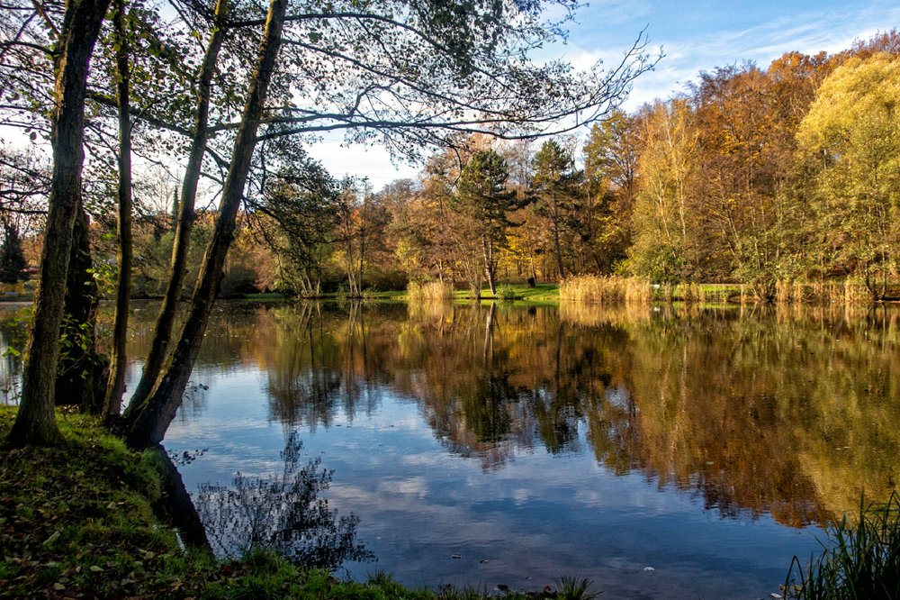 Photograph by Игорь Гомельский