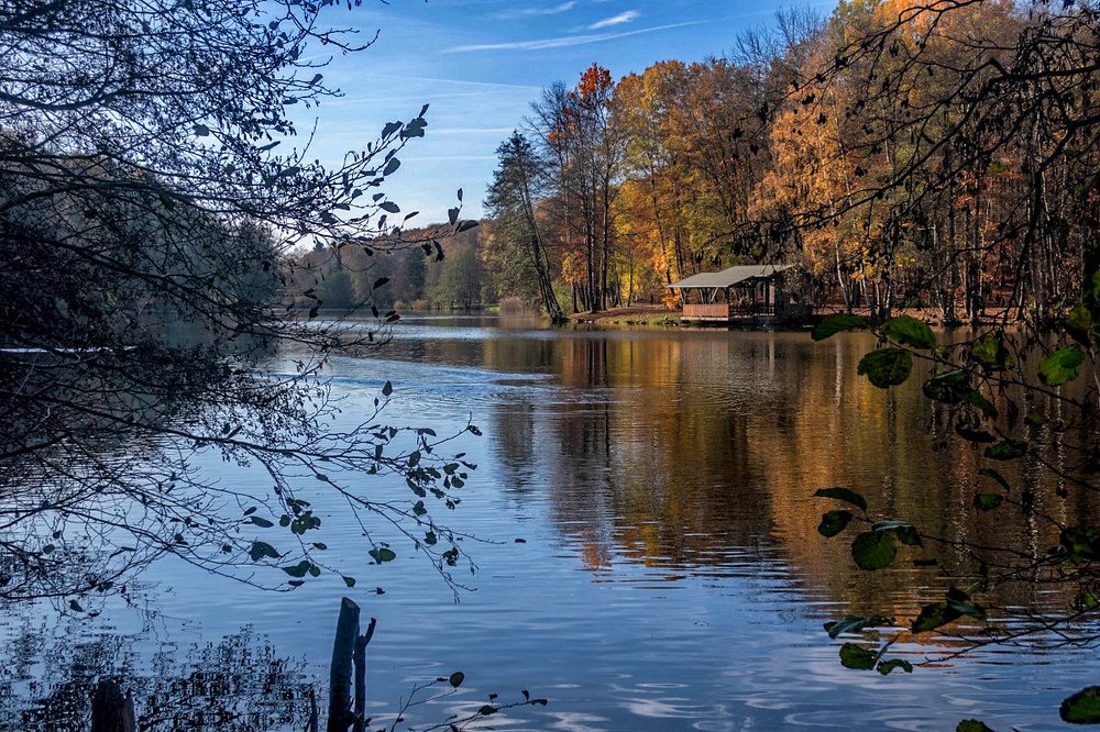 Photograph by Игорь Гомельский