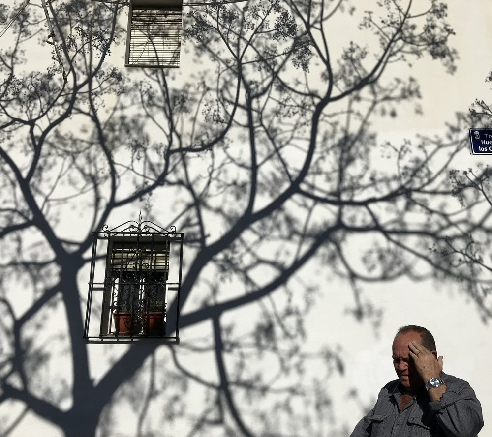 La Sombra del árbol