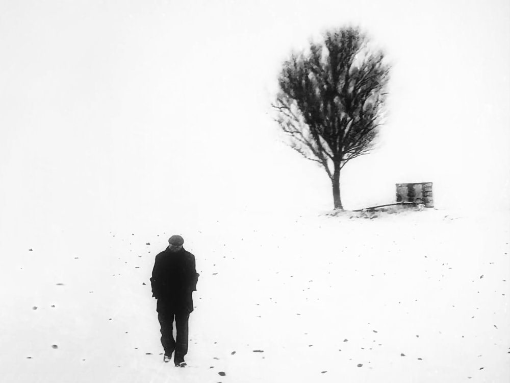 Photograph by Saeed Rezazadeh