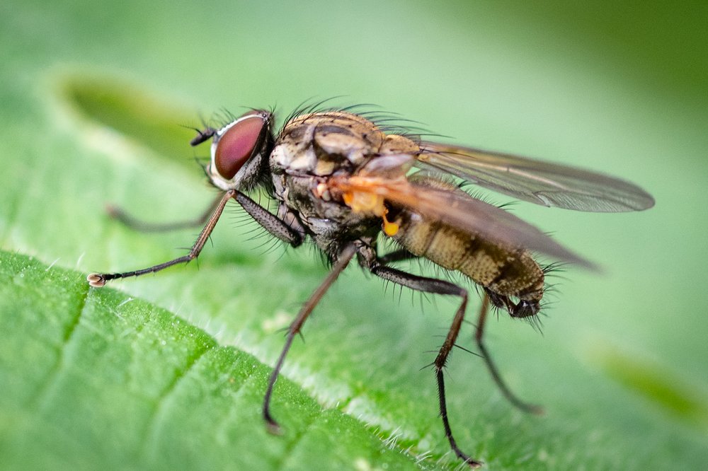 Photograph by Дмитрий Николаев