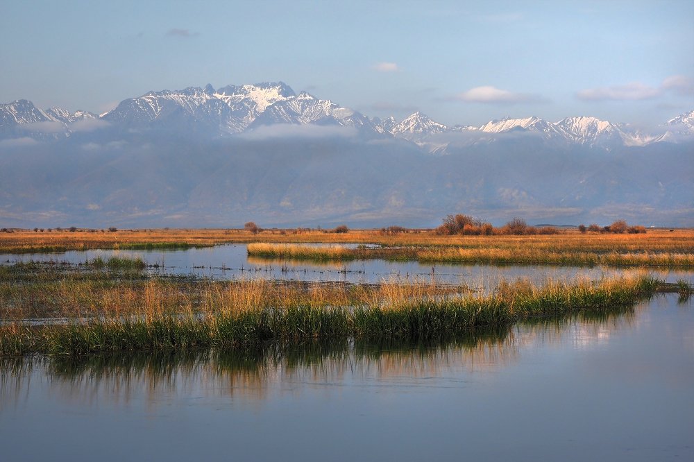 Photograph by Александр Попов