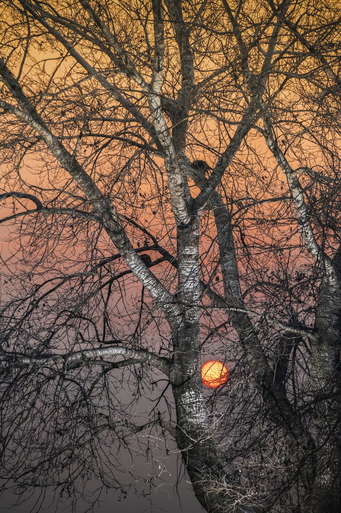 Photograph by Julian Pujol