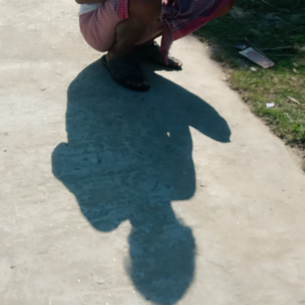 Фотография автора Tom Kottackal