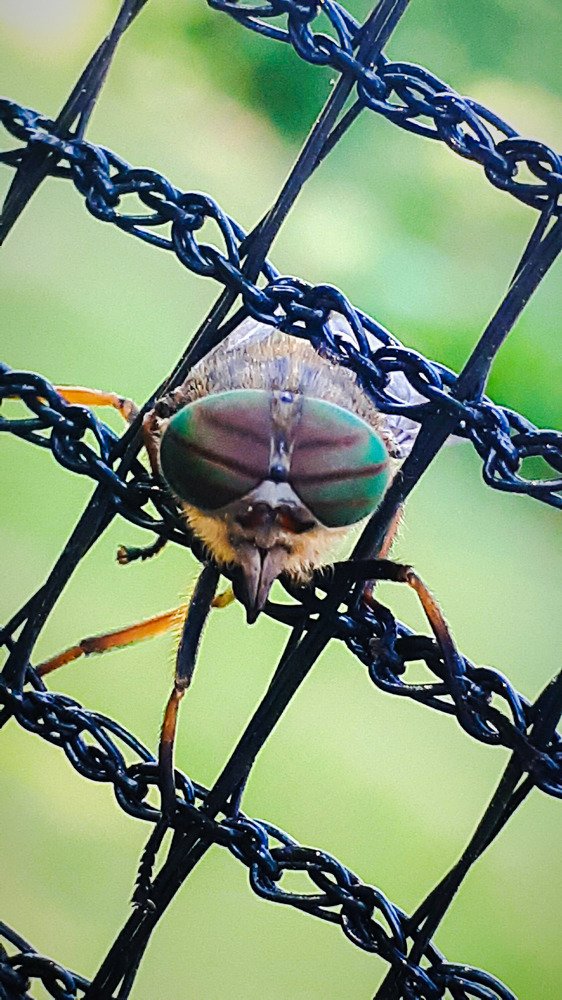 Photograph by Kristiina Soots