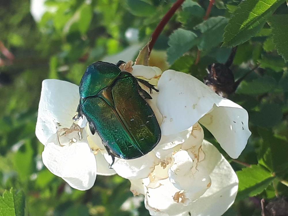 Photograph by Kristiina Soots