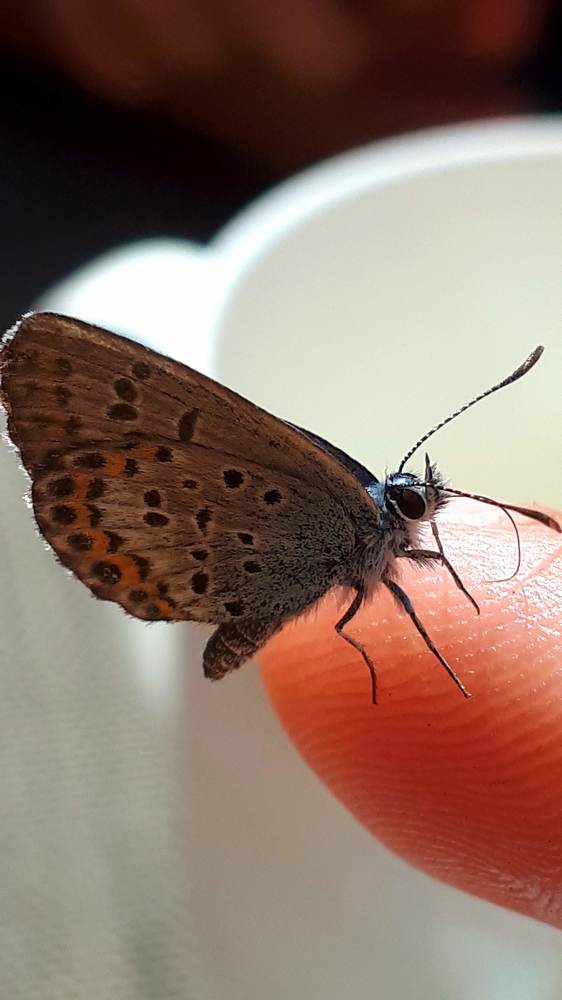 Photograph by Kristiina Soots