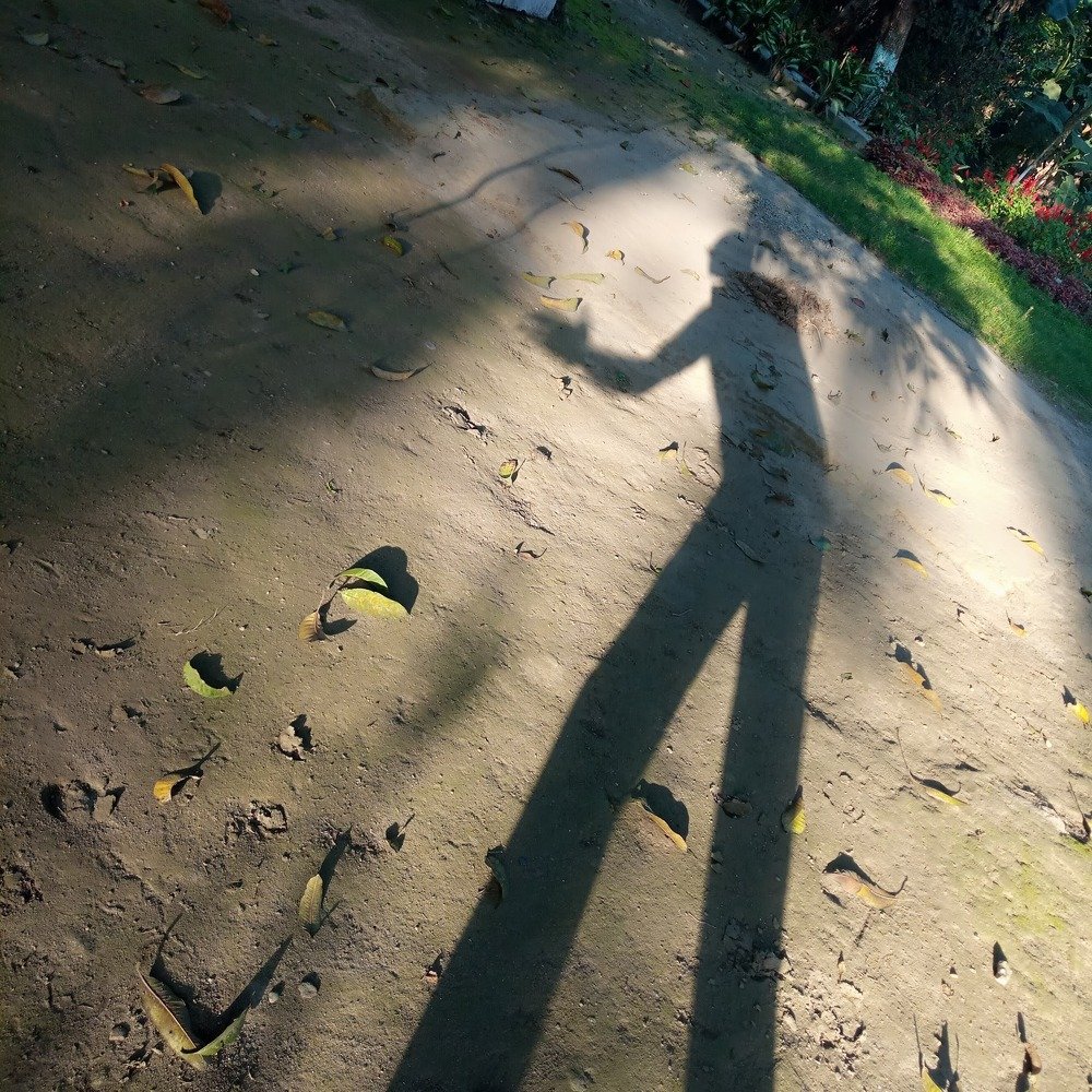 Фотография автора Tom Kottackal