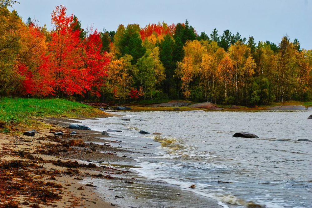 Карелия, побережье Белого моря.