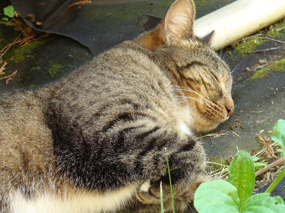 Photograph by olga Diakova