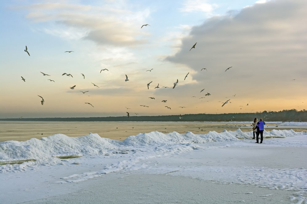 Photograph by Шутов Владимир