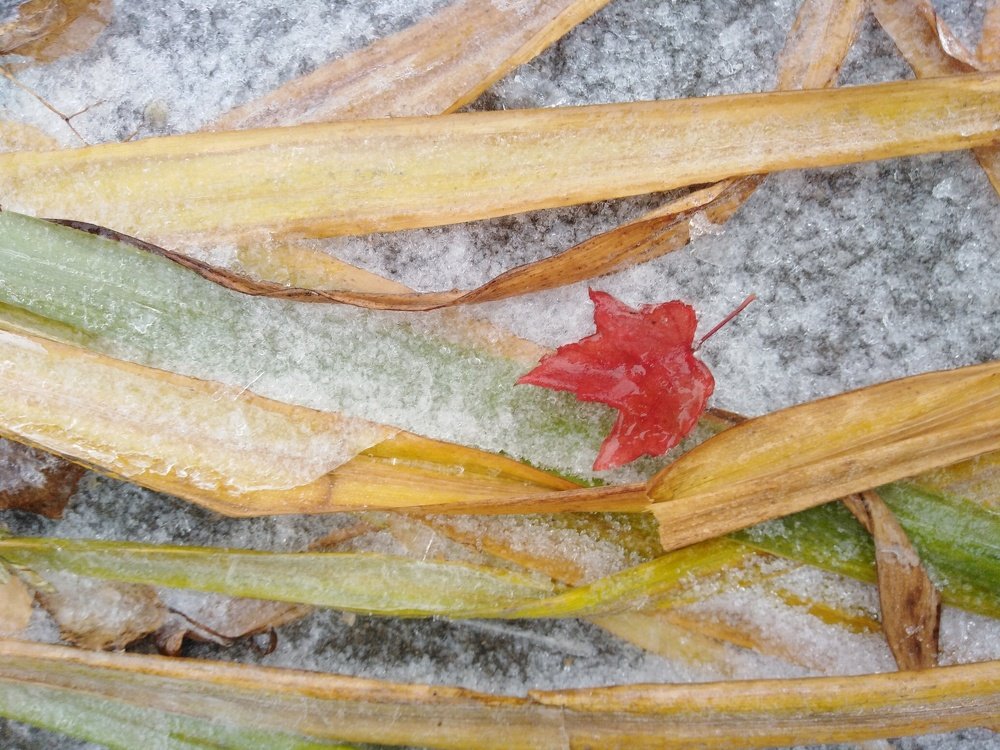 Неизбежность...