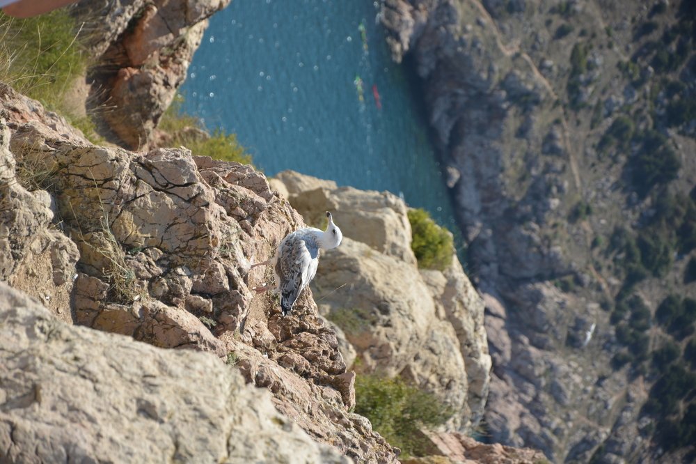 Photograph by Константин Ульянкин