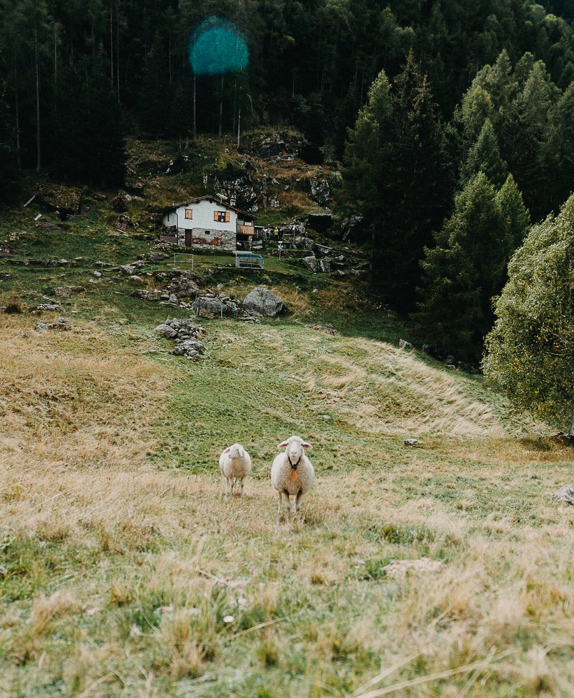 Photograph by Жанна Думинская