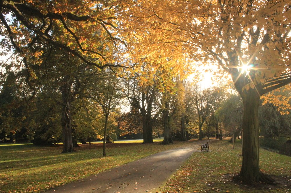 Photograph by Sharad vadoliya