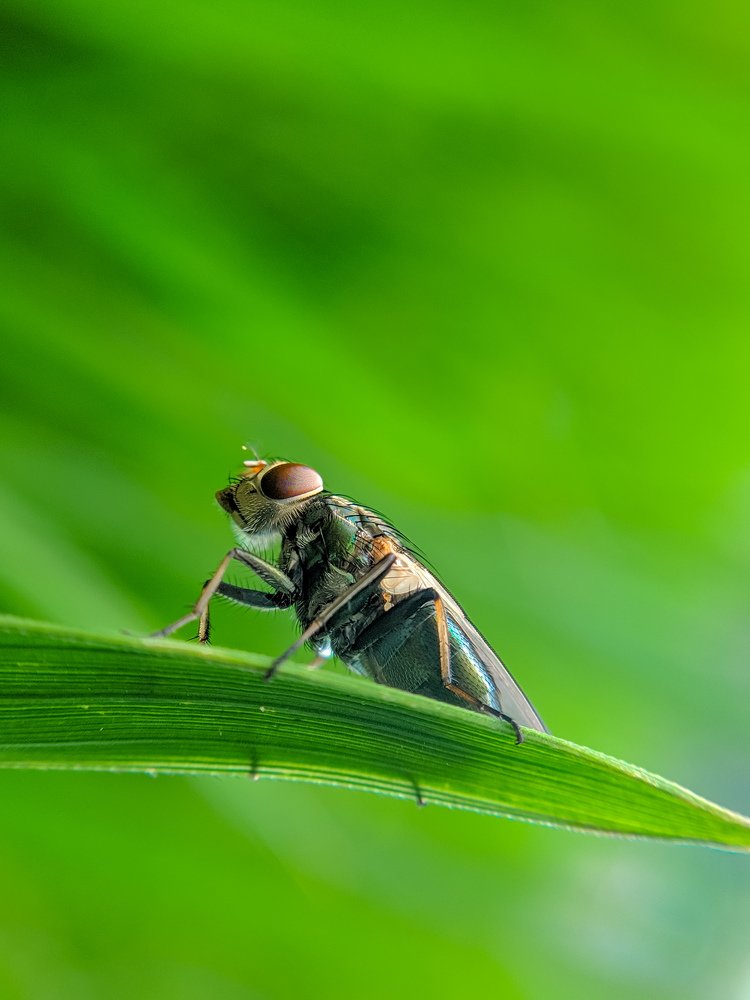 Photograph by Rafsan Siddiquee