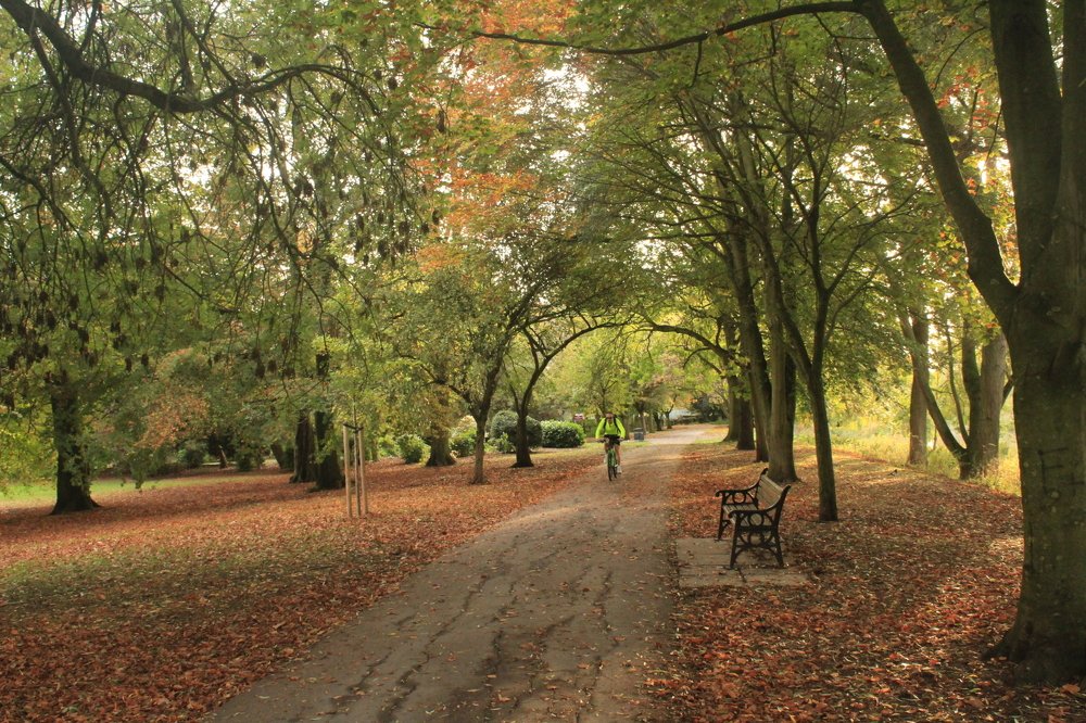 Photograph by Sharad vadoliya