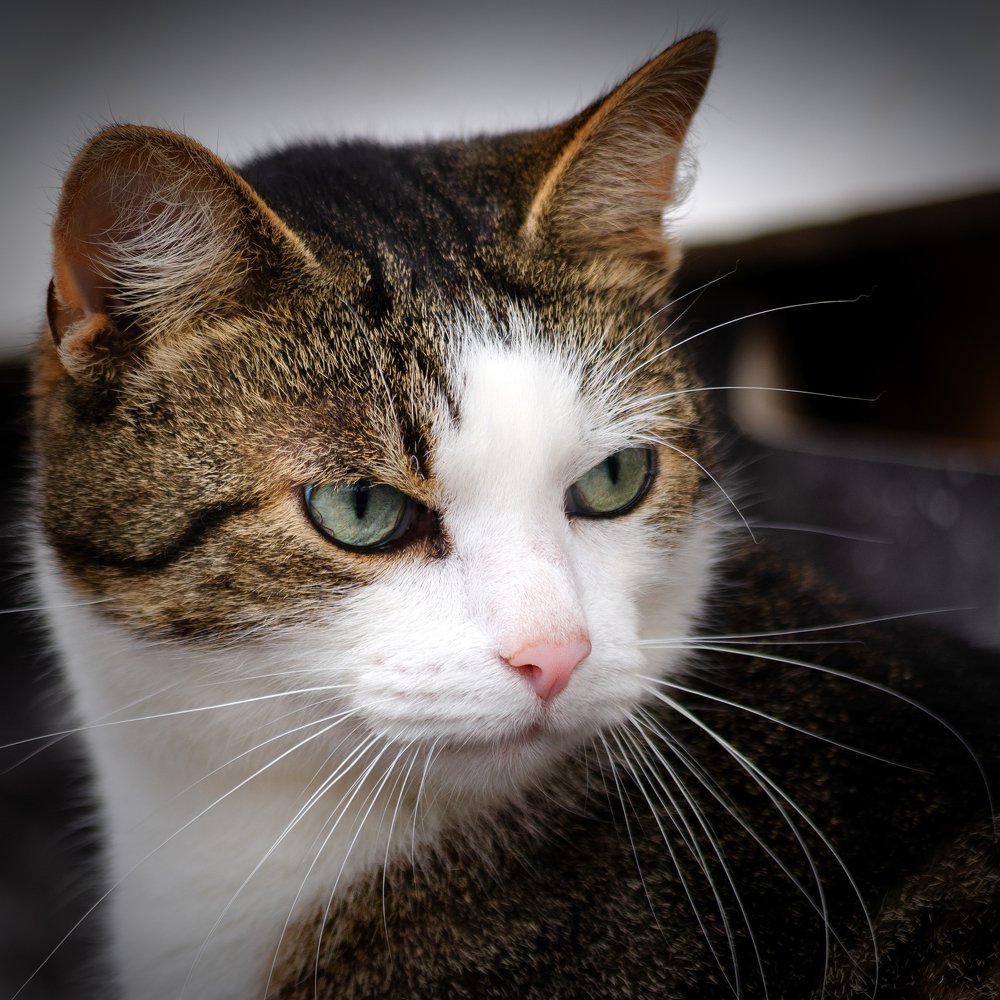 Photograph by Грязев Сергей