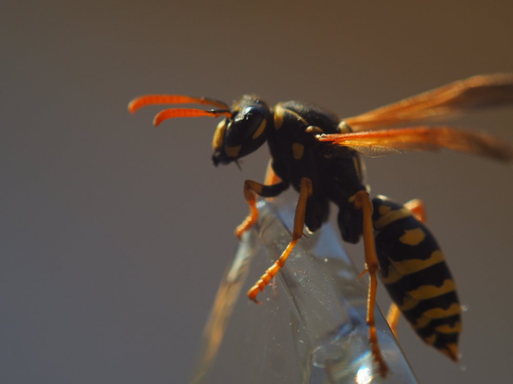 Photograph by Наталья