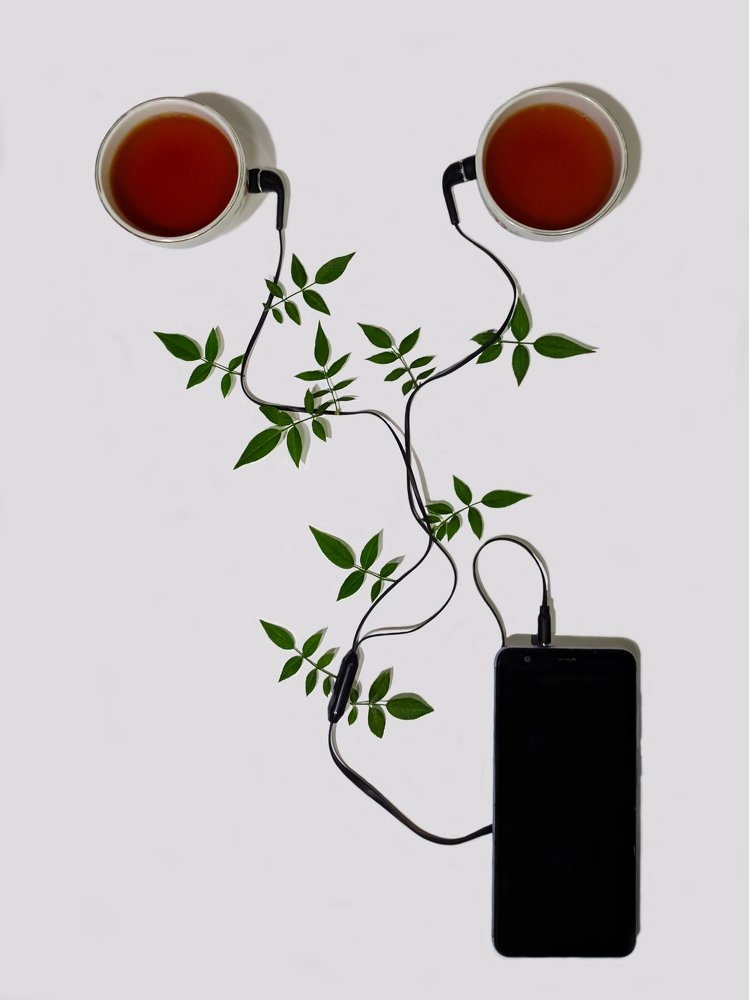 Photograph by Rafsan Siddiquee