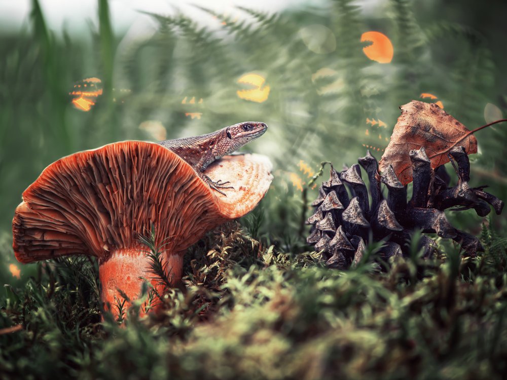 Photograph by Анастасия Третьякова