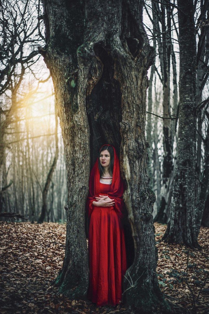 Фотография автора giorgi solomnishvili