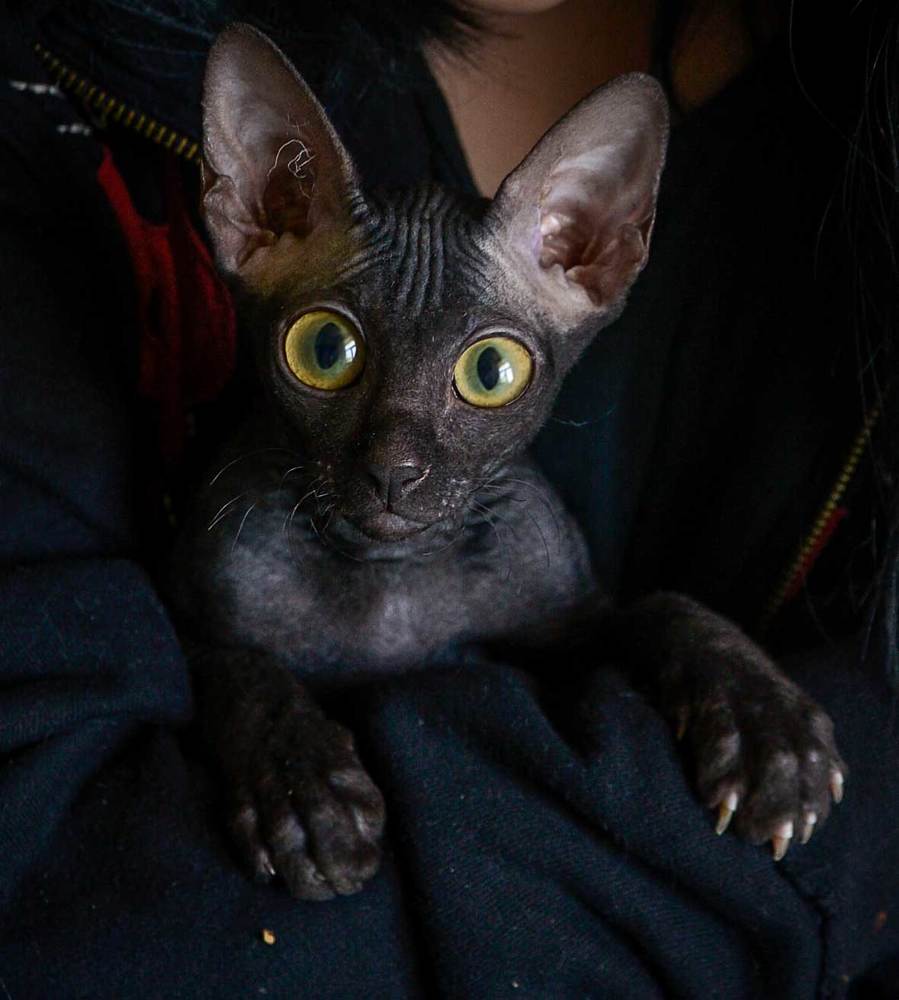 Photograph by Владимир