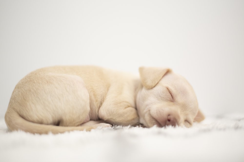 Photograph by Эдуард Масленников