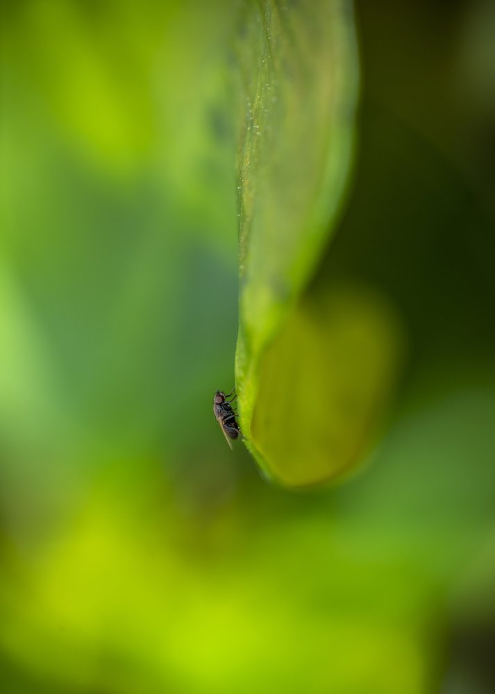 Photograph by Sangeetha Damodaran