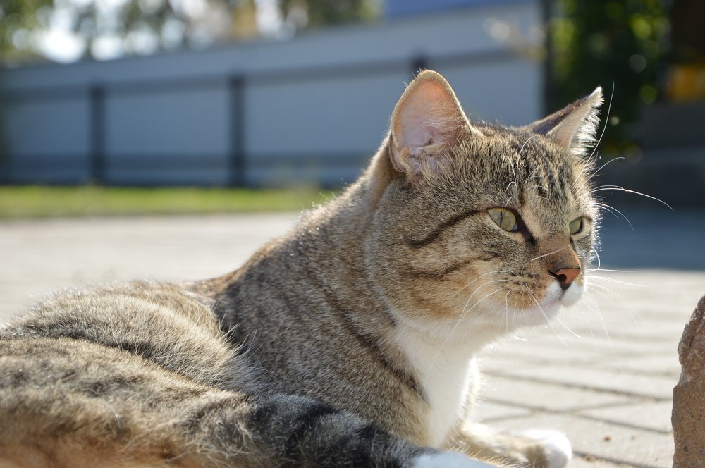 Photograph by Татьяна Климюк