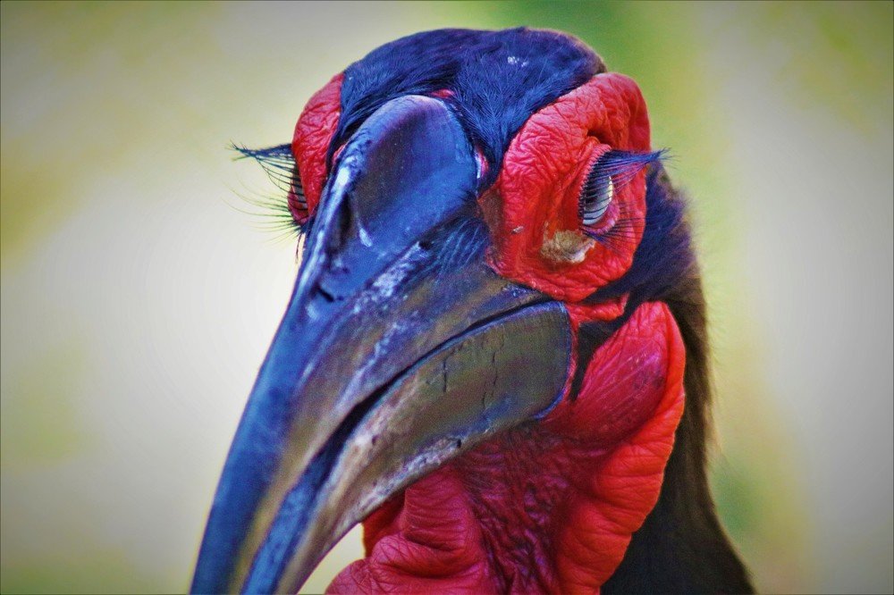 Photograph by Esmaeil Razaghi