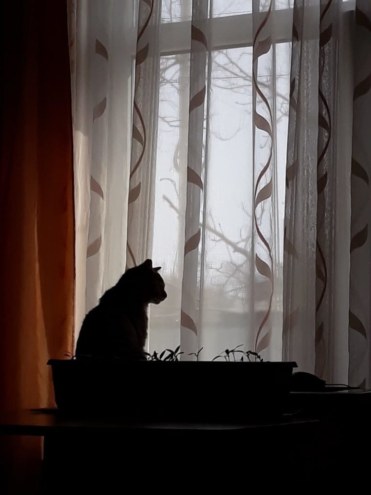 Photograph by Татьяна Климюк