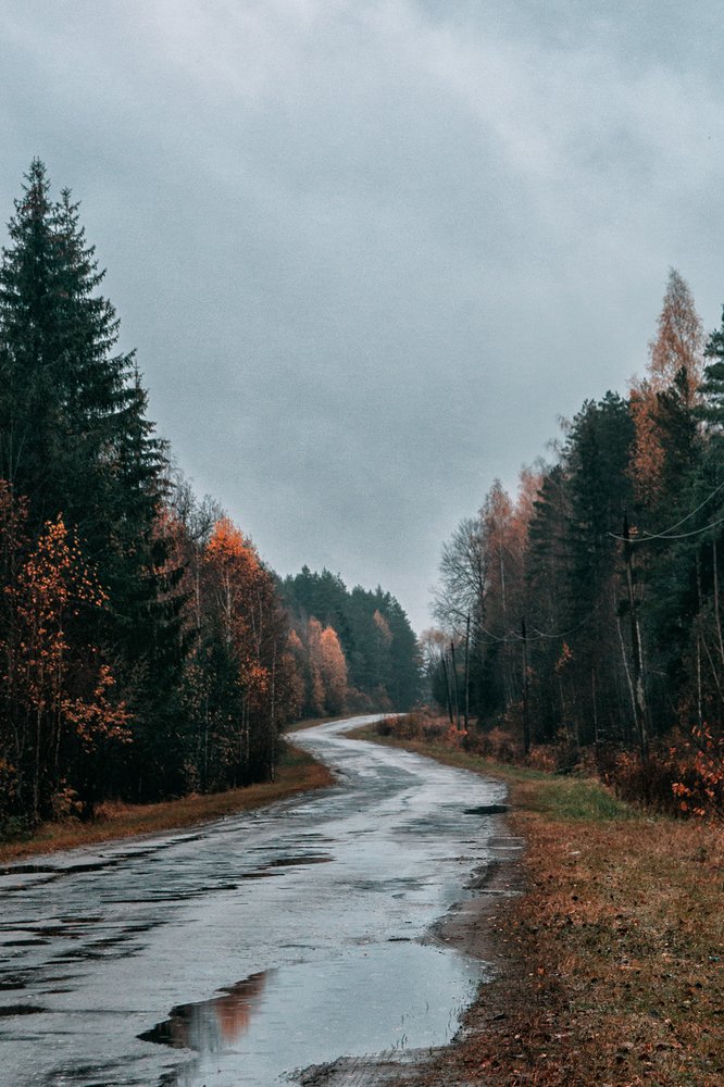 Дорога в осень