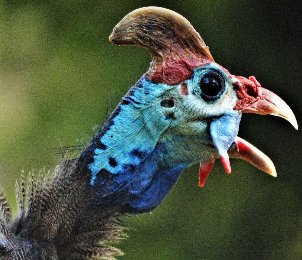 Photograph by Esmaeil Razaghi