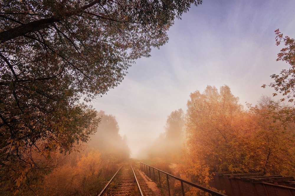 Photograph by Светлана Медведева