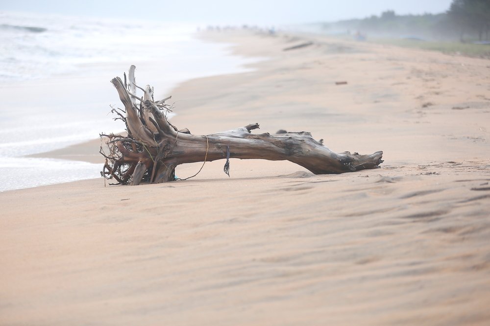 Photograph by Anoop Moidutty