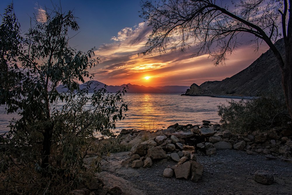 Photograph by Светлана Медведева