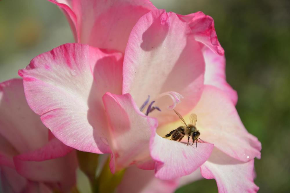 Photograph by Татьяна Климюк