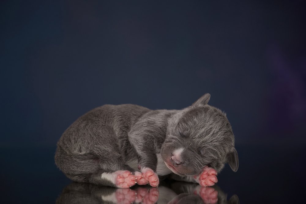 Photograph by Лана Полякова