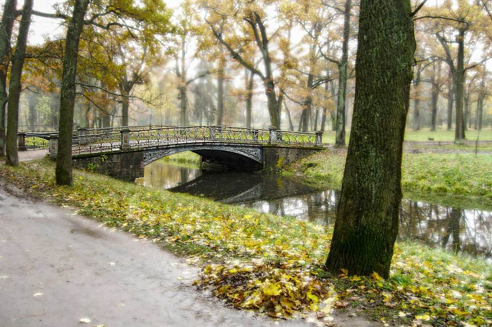 Photograph by Владимир