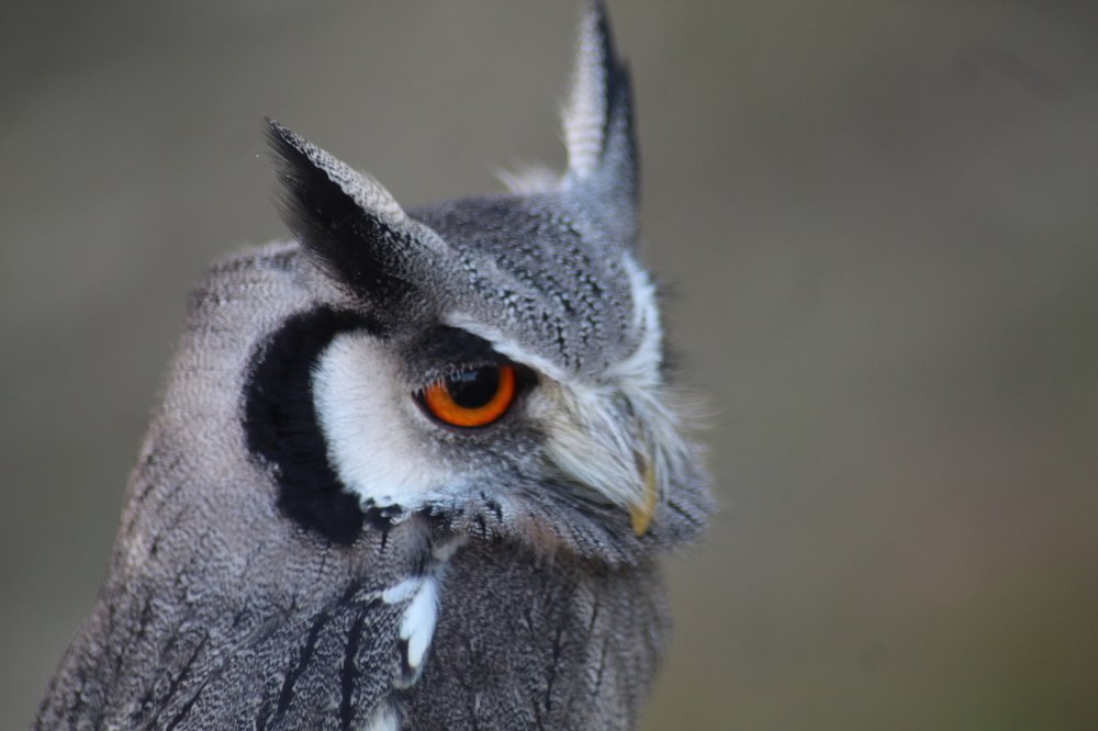 Photograph by Francisco Ferreira