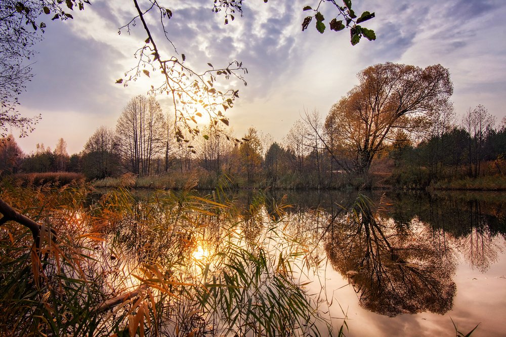 Photograph by Светлана Медведева