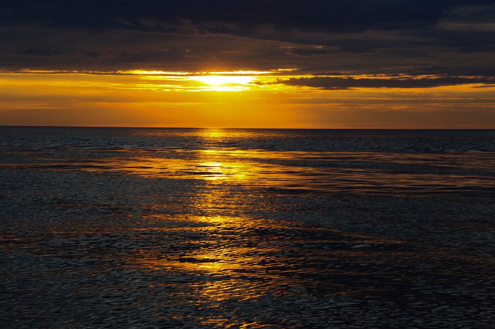 Photograph by Татьяна Шелудяк