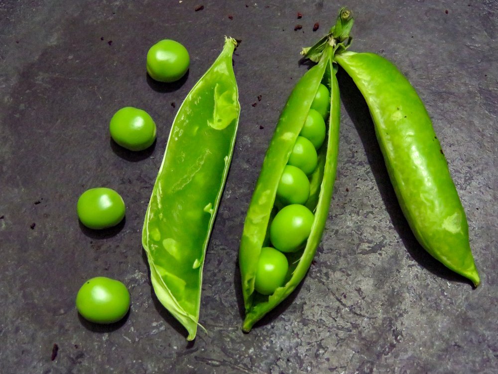 Autobiography of peas