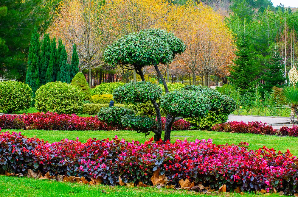 Photograph by Роман Приходько