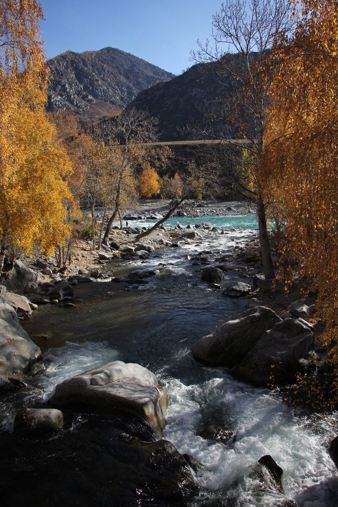 Photograph by Владимир Каверин