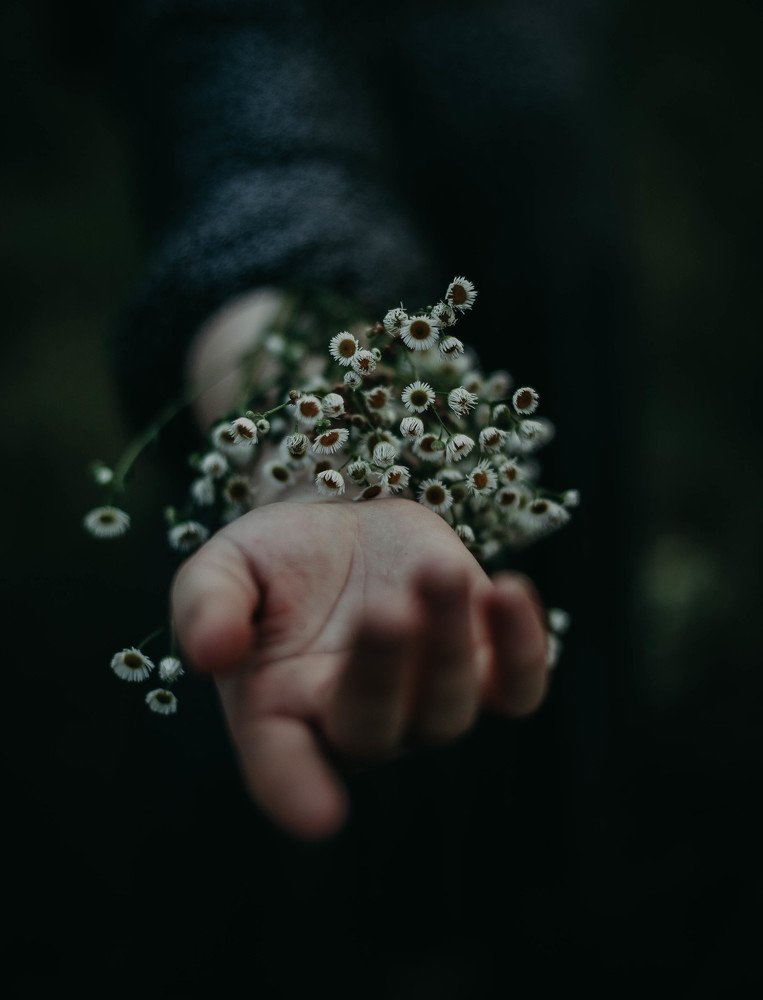 Photograph by Tornike kurashidze