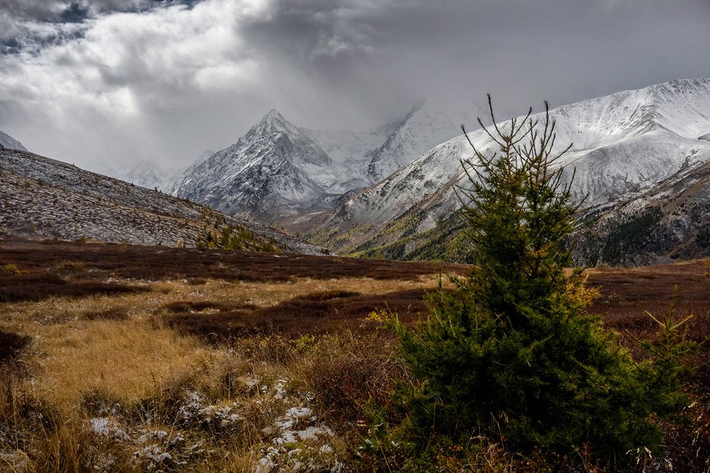Осень в горах Алтая