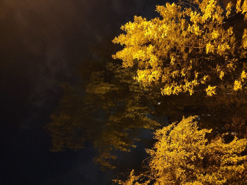 Photograph by Антон Корольков