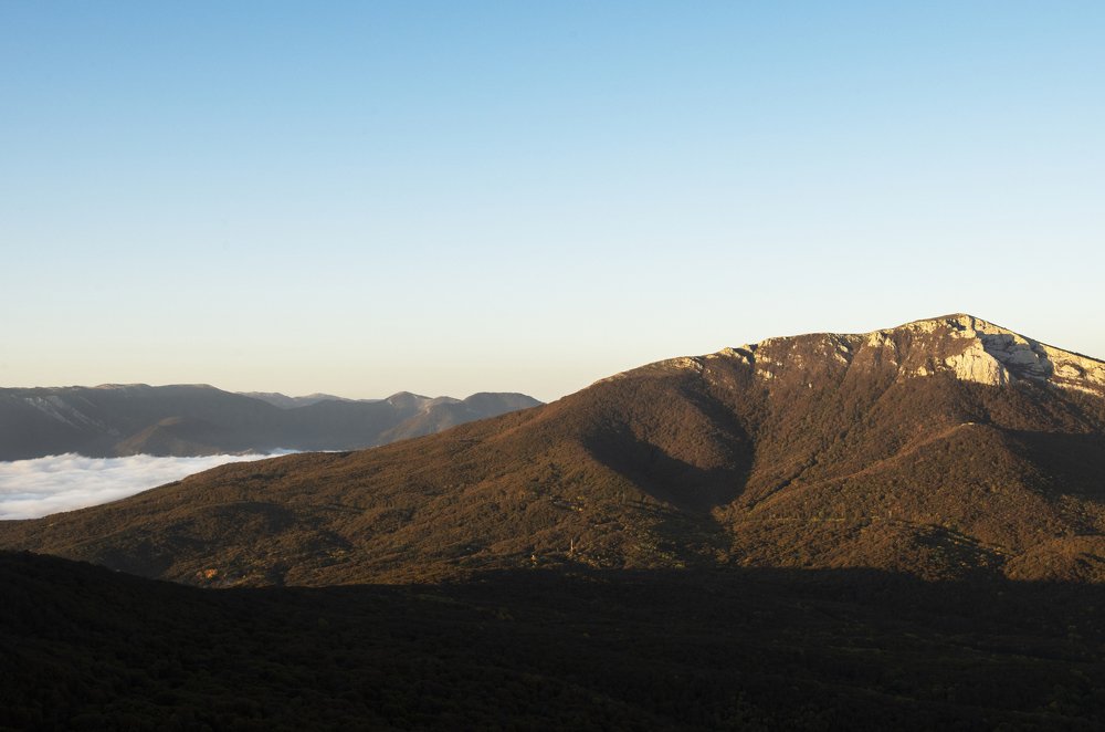 Photograph by Кассандра Мареева